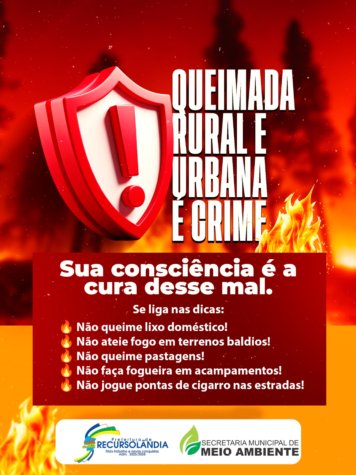 Queimadas